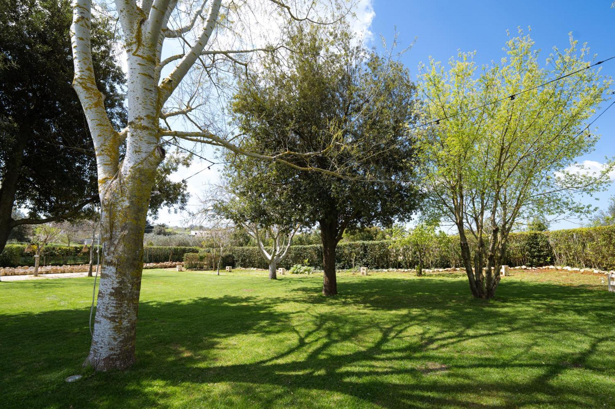 Masseria San Michele マルティナ・フランカ エクステリア 写真