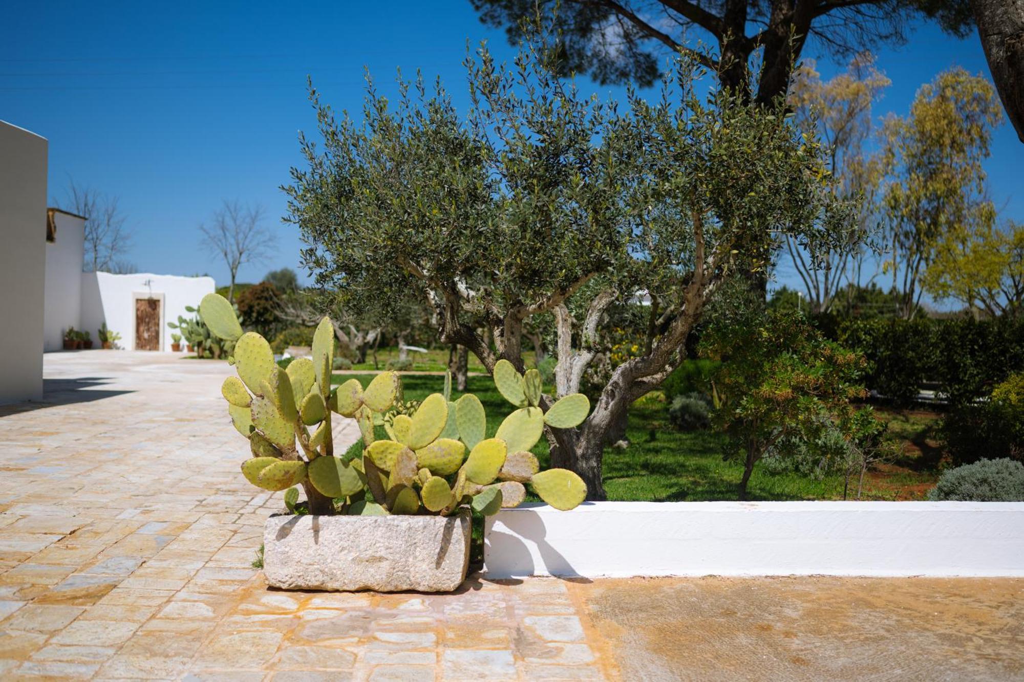 Masseria San Michele マルティナ・フランカ エクステリア 写真