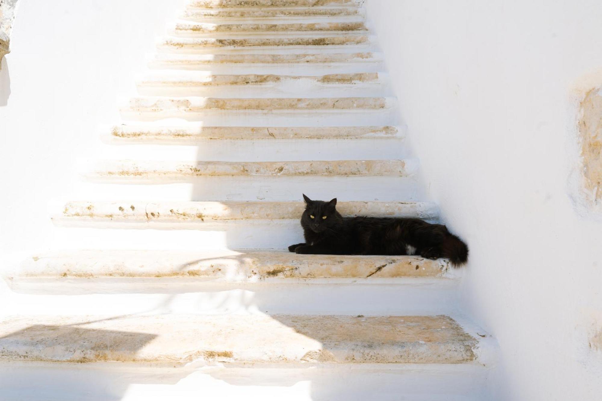 Masseria San Michele マルティナ・フランカ エクステリア 写真